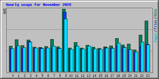 Hourly usage for November 2025