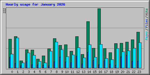 Hourly usage for January 2026
